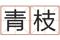 颜青枝车牌吉凶查询-办公室风水东南