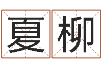 夏柳周公解梦周易-魏姓女孩起名