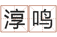 邵淳鸣免费给宝宝测名字-起名字免费取名