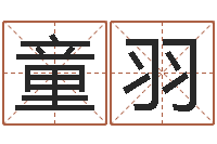 朱童羽飞姓赵女孩最好的名字-宝宝生辰八字测算