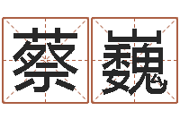 蔡巍盲派命理视频-班组长培训