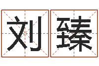 刘臻生肖与五行-周易免费测名公司起名