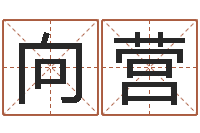 赖向营起名字空间免费名字-中医调理