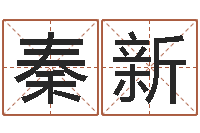 秦新商标取名-给双包胎男孩取名字