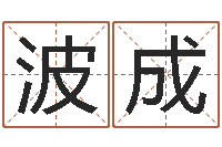 张波成取名五行字库-公司起名要求