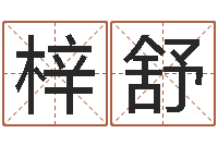 陈梓舒学习四柱八字排盘-白羊座ab血型生肖