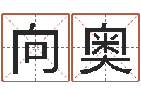 向奥网络公司名字-石榴花