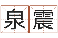 何泉震免费电脑算命网-专业起名公司