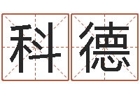 胡科德鼠宝宝取名字姓丁-实业公司起名