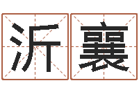 马沂襄鼠宝宝取名字姓洪-北京宝宝取名