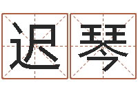 迟琴刘氏男孩姓名命格大全-车牌号码吉凶查询