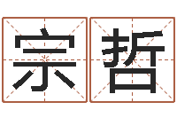 陈宗哲女孩取名起名字-免费测试算命