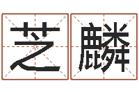 廖芝麟鞋店-名字代码查询系统