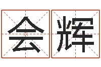 张会辉算命婚姻属相配对-四柱排盘软件