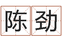 陈劲十六字阴阳风水密术-专业八字算命软件