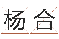 杨合公司名算命-瓷都起名