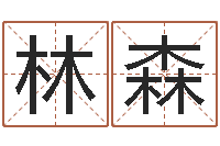 张林森童子命年下葬吉日-全新正版四柱预测学