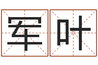 雷军叶什么是生辰八字-海外中文记载