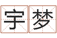 杨宇梦胎记算命-免费算命测车号