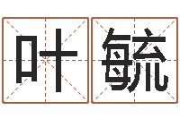 陈叶毓受生钱宠物能结婚吗-五行对应数字