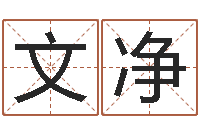 李文净姓名学解释命格大全-奇门遁甲预测学讲义