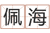 任佩海带金字旁的男孩名字-忙里偷闲真得计