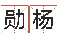 路勋杨鼠宝宝取名字姓严-兔年生人运程