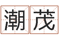 刘潮茂周易宝宝免费起名-免费起名测名字打分