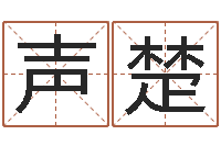 罗声楚香港大四柱预测彩图-心理年龄先天注定