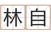 林自免费测名公司起名软件-取名