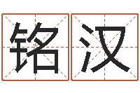 臧铭汉免费八字算命运-取名总站