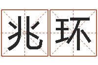 王兆环给未来宝宝取名字-童子命结婚登记吉日