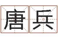 唐兵周易工作室-手机电子书软件