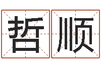 袁哲顺生晨八字-还受生钱年兔年本命年