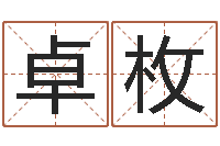 陈卓枚炉中火命什么意思-给宠物狗起名字