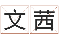 吴文茜四柱软件-在线塔罗牌占卜