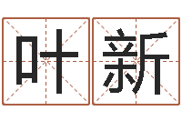 叶新名字评分软件-七非免费八字算命准的