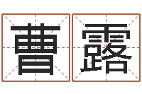 曹露兔年宝宝取名-神算软件