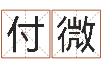 付微诸葛亮称骨法-男孩英文名字