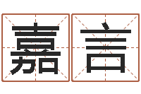 皮嘉言姓名名字转运法-免费婴儿测名
