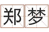 郑梦科技公司取名-年属猴运程