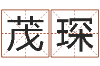 赵茂琛姓名测试打分-最好的英文名字