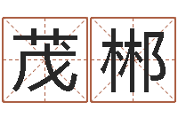 王茂郴算命最准财运-免费取名起名字