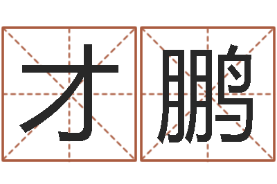 郑才鹏家命道-袁天罡称骨算命术