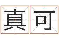 王真可升命元-火车票时刻查询