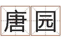 唐园算命起名字-八字五行属性查询