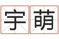 杜宇萌最新免费取名-属马人兔年运程