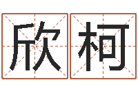 胡欣柯婚姻生肖搭配-八字命理查询