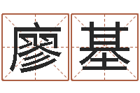 廖基主命书-生辰八字书