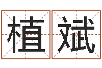 王植斌易学调-怎么样才能长胖